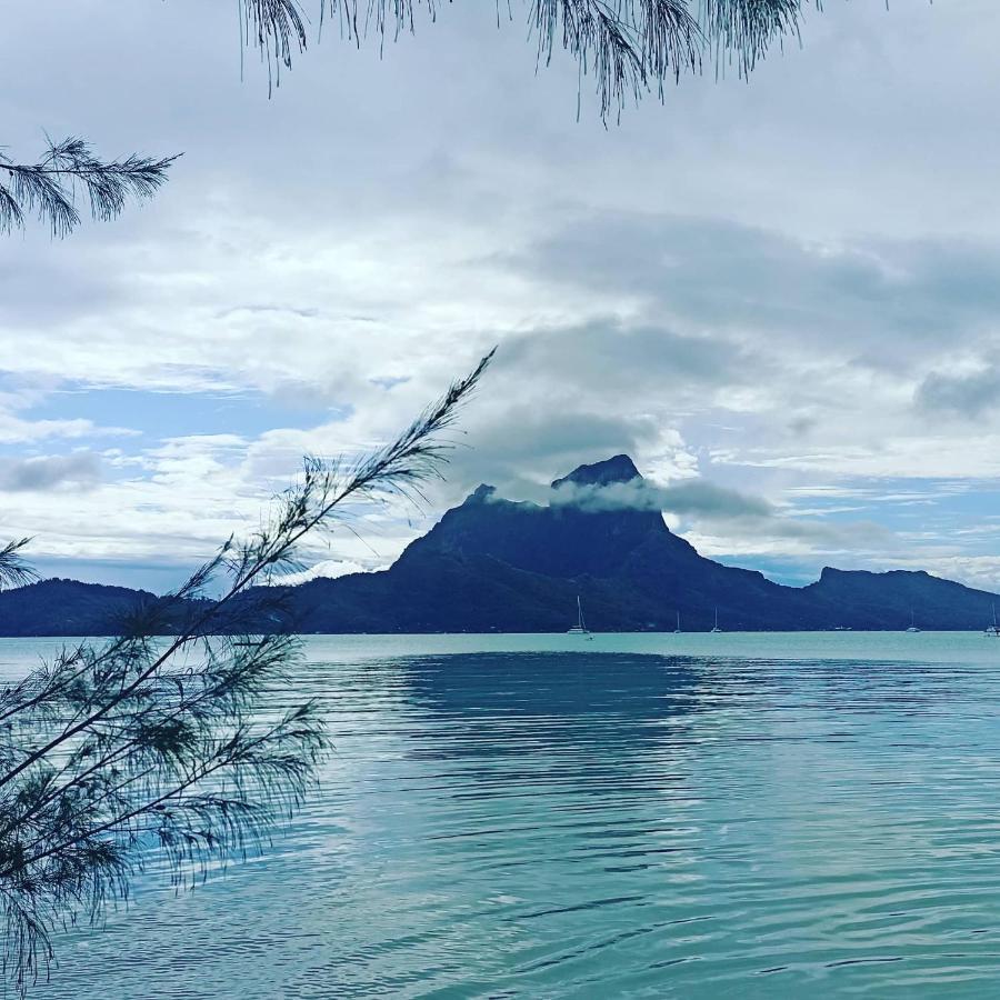 Vila Tiki House Bora Bora Exteriér fotografie
